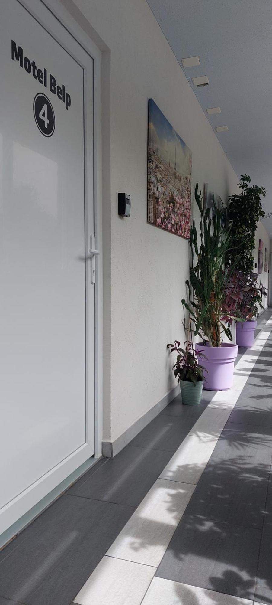 Hotel Belp Bern Airport Free Parking Exterior foto